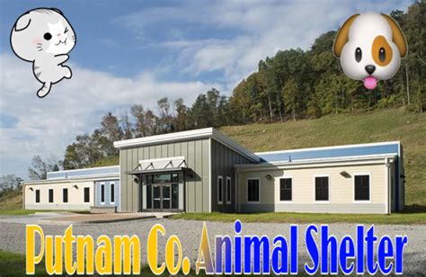 Putnam county animal shelter - Albums. More. Putnam County Animal Shelter's Photos. Tagged photos. Albums. Putnam County Animal Shelter, Red House, West Virginia. 27,794 likes · 2,204 talking about this · 261 were here. We are the animal shelter for Putnam County, West Virginia. 